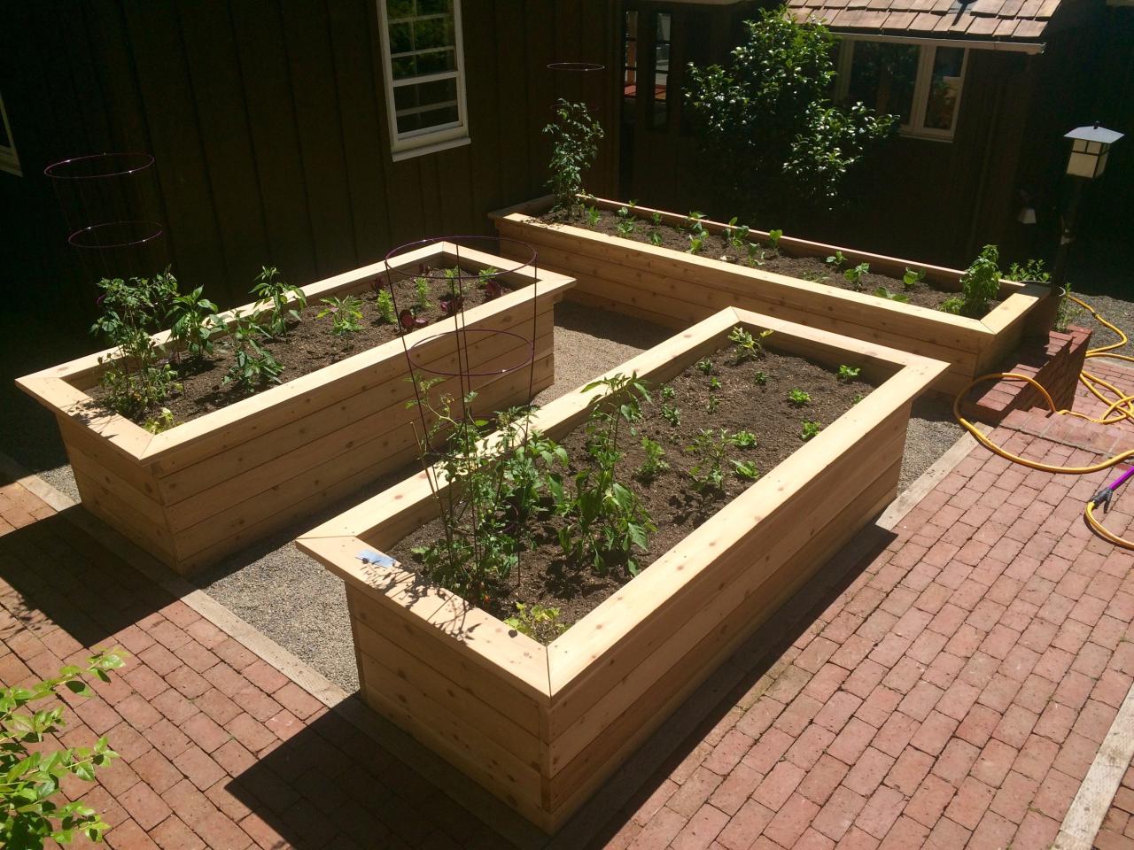 Why Raised Beds Arent Ideal for Certain Vegetables