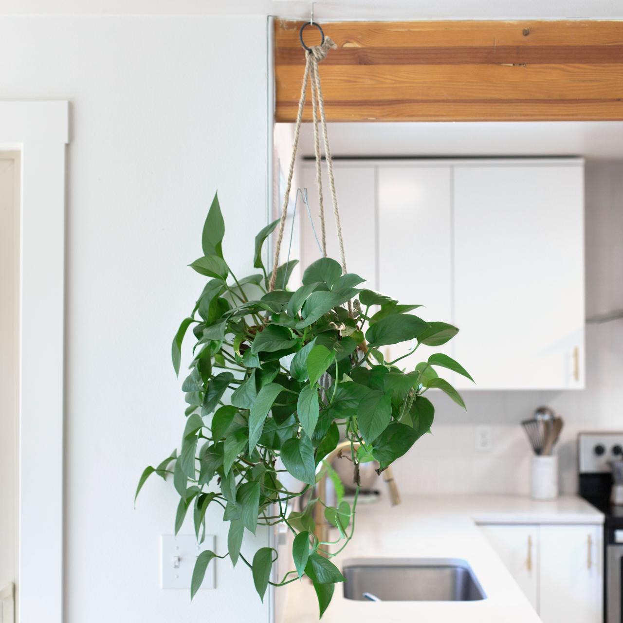 How to Install a Hanging Plant System on Your Porch