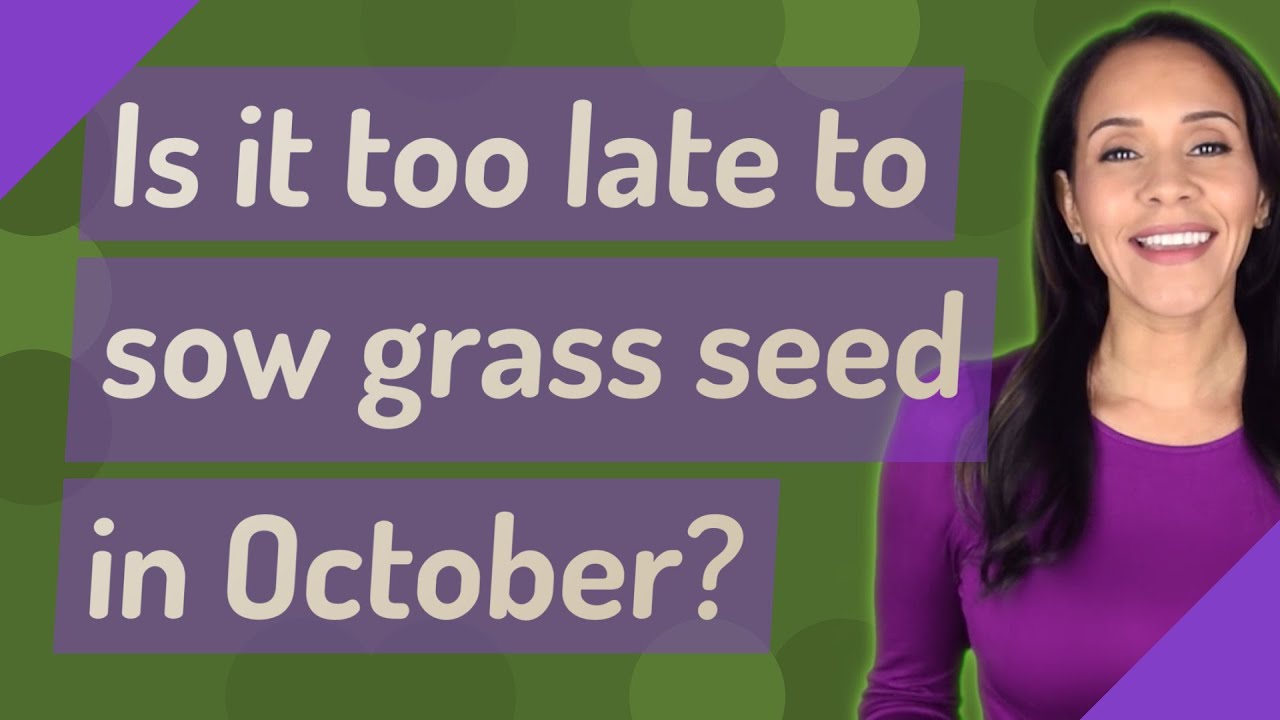 When to Sow Grass Seed in the UK: A Season-by-Season Breakdown